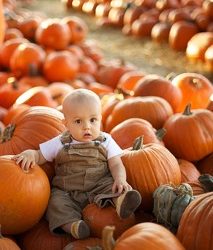 Pumpkin Books for Speech Therapy Activities